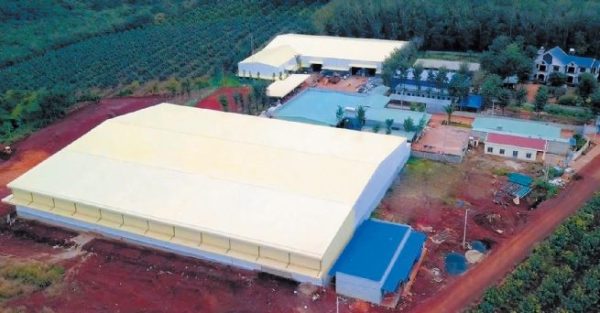 Đại Hoàng Kim Bình Phước: Tiên phong trong lĩnh vực cơ khí và công nghiệp hỗ trợ ngành điều