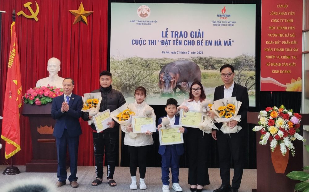 Chú Hà Mã đầu tiên sinh ra ở Vườn thú Hà Nội có tên khai sinh Mã Nam