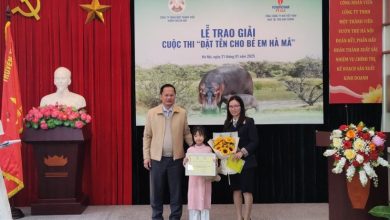 Chú Hà Mã đầu tiên sinh ra ở Vườn thú Hà Nội có tên khai sinh Mã Nam