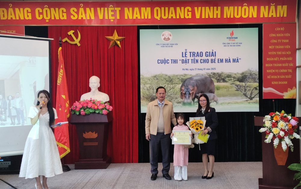 Chú Hà Mã đầu tiên sinh ra ở Vườn thú Hà Nội có tên khai sinh Mã Nam