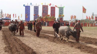 Khai hội Tịch điền Đọi Sơn năm 2025 Khai hội Tịch điền Đọi Sơn năm 2025