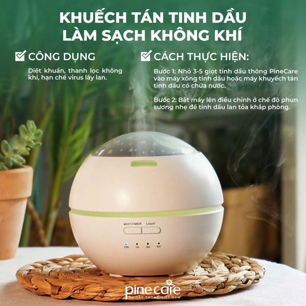 Tinh Dầu Thông: Giải pháp tự nhiên để ngăn chặn Virus lây lan trong không khí Tinh Dầu Thông: Giải pháp tự nhiên để ngăn chặn Virus lây lan trong không khí
