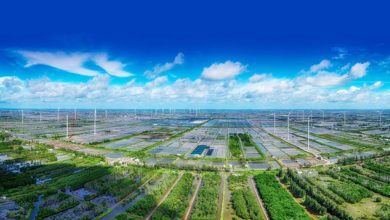 Khung pháp lý cho cơ chế giao dịch trên thị trường tín chỉ carbon