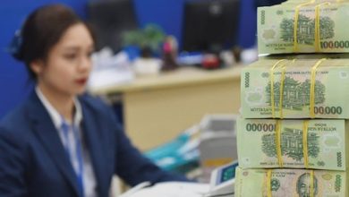 Động lực cho tăng trưởng kinh tế Việt Nam năm 2025 Động lực cho tăng trưởng kinh tế Việt Nam năm 2025