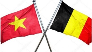 Đối thoại cấp cao Việt Nam - Bỉ về phát triển bền vững và đổi mới sáng tạo Đối thoại cấp cao Việt Nam - Bỉ về phát triển bền vững và đổi mới sáng tạo
