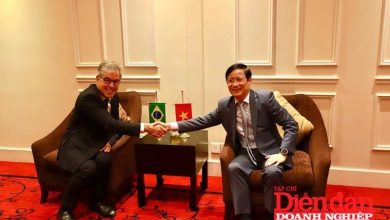 Kết nối doanh nghiệp Việt Nam - Brazil ngày càng bền chặt