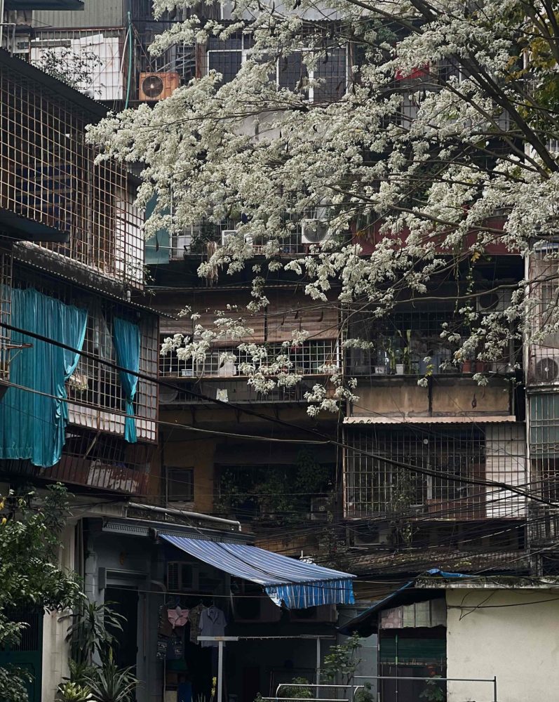 Tung Kong - Travel blogger đưa Hà Nội “chạm” vào cảm xúc của bạn bè quốc tế