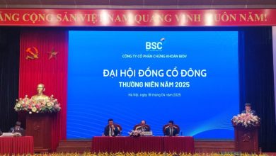Chứng khoán BIDV (BSC): Lợi nhuận mục tiêu 560 tỷ đồng, dự kiến trả cổ tức tỷ lệ 10% năm 2025