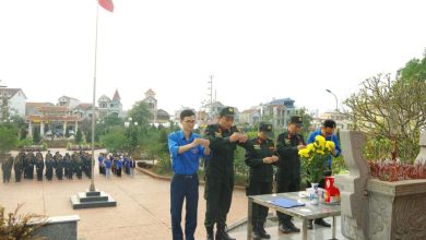 Tăng cường giáo dục truyền thống, trân trọng giá trị hoà bình nhân kỷ niệm 50 năm thống nhất Đất nước Tăng cường giáo dục truyền thống, trân trọng giá trị hoà bình nhân kỷ niệm 50 năm thống nhất Đất nước