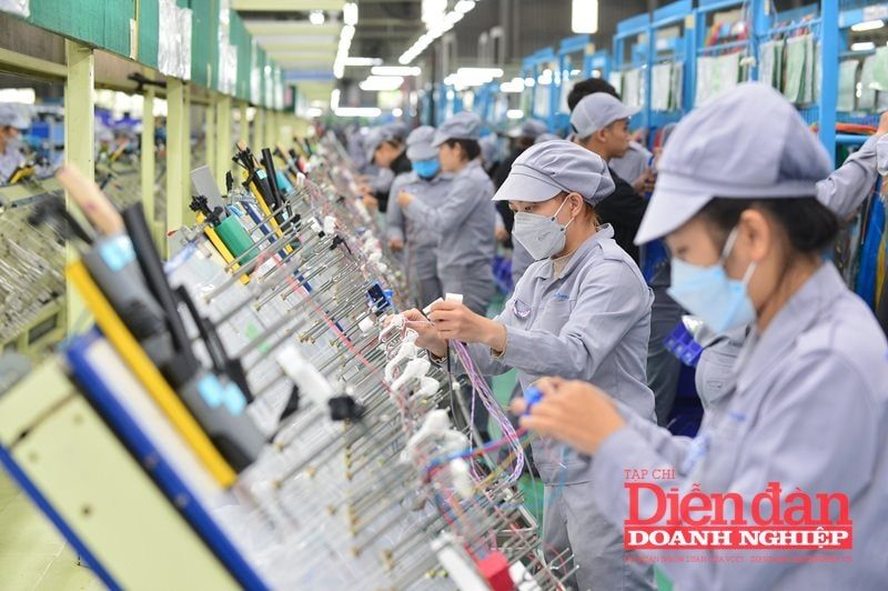 Cắt giảm đơn giản hóa quy định về kinh doanh: Vẫn còn băn khoăn về tính thực chất Cắt giảm đơn giản hóa quy định về kinh doanh: Vẫn còn băn khoăn về tính thực chất