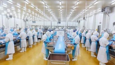 Các "ông lớn" ngành chăn nuôi lạc quan tăng trưởng