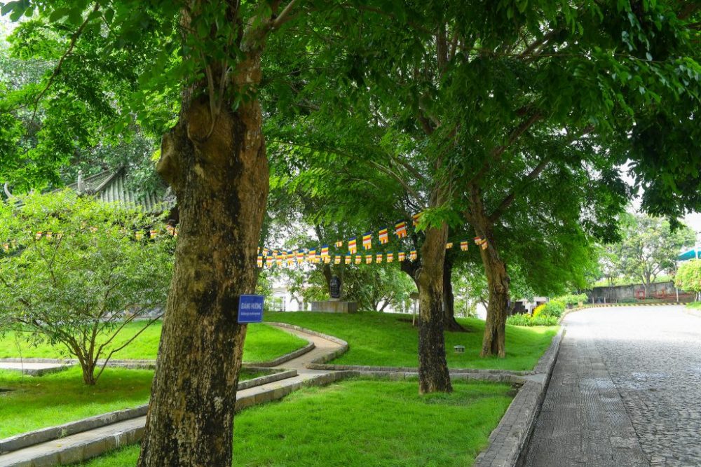 TH đạt chứng nhận quốc tế trung hòa carbon của Control Union