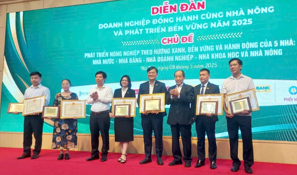 Liên kết “5 nhà”: Chiến lược phát triển bền vững chuỗi giá trị nông nghiệp Liên kết “5 nhà”: Chiến lược phát triển bền vững chuỗi giá trị nông nghiệp