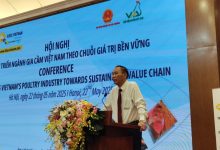Phát triển ngành gia cầm Việt Nam theo chuỗi giá trị bền vững