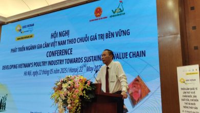 Phát triển ngành gia cầm Việt Nam theo chuỗi giá trị bền vững
