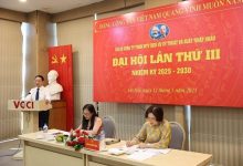 Từ thực tiễn doanh nghiệp, ba Chi bộ VCCI khẳng định vai trò hạt nhân chính trị