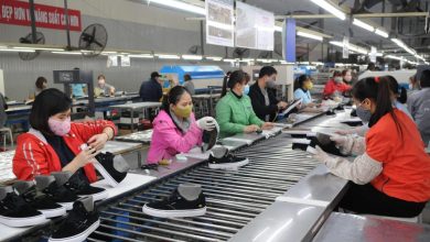 Công nghiệp hỗ trợ: Giải pháp giảm phụ thuộc nhập khẩu cho ngành da giày