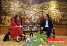 VCCI và New Zealand tăng cường hợp tác kinh tế và phát triển bền vững
