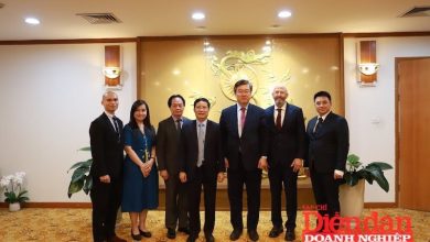 VCCI phối hợp cùng UNDP xây dựng "Sáng kiến phát triển năng lực Việt Nam"