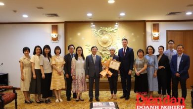 ILO và VCCI tăng cường hợp tác thúc đẩy quan hệ lao động bền vững tại Việt Nam