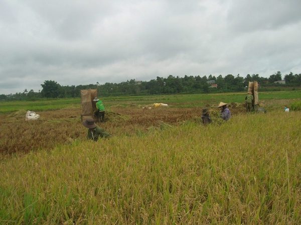 Đắk Nông đưa chính sách dân tộc tôn giáo của Đảng, Nhà nước đi vào cuộc sống Đắk Nông đưa chính sách dân tộc tôn giáo của Đảng, Nhà nước đi vào cuộc sống