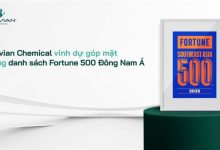 Stavian Hóa chất được Fortune vinh danh Top 219 doanh nghiệp lớn nhất Đông Nam Á năm 2025