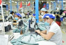 Doanh nghiệp dệt may "chạy đua" mở rộng thị trường