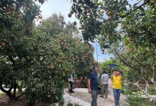 “Biến” lợi thế nông thôn và làng nghề thành sản phẩm du lịch