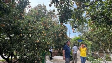 “Biến” lợi thế nông thôn và làng nghề thành sản phẩm du lịch