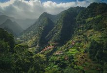 HÀ GIANG – MIỀN ĐẤT CỦA TRÀ SHAN TUYẾT DI SẢN HACOOCHA