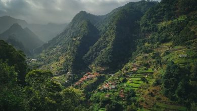 HÀ GIANG – MIỀN ĐẤT CỦA TRÀ SHAN TUYẾT DI SẢN HACOOCHA