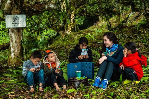 HÀ GIANG – MIỀN ĐẤT CỦA TRÀ SHAN TUYẾT DI SẢN HACOOCHA HÀ GIANG – MIỀN ĐẤT CỦA TRÀ SHAN TUYẾT DI SẢN HACOOCHA