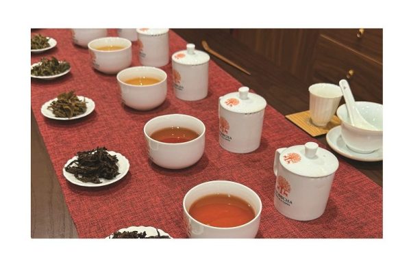 HÀ GIANG – MIỀN ĐẤT CỦA TRÀ SHAN TUYẾT DI SẢN HACOOCHA HÀ GIANG – MIỀN ĐẤT CỦA TRÀ SHAN TUYẾT DI SẢN HACOOCHA