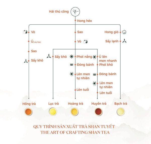 HÀ GIANG – MIỀN ĐẤT CỦA TRÀ SHAN TUYẾT DI SẢN HACOOCHA HÀ GIANG – MIỀN ĐẤT CỦA TRÀ SHAN TUYẾT DI SẢN HACOOCHA