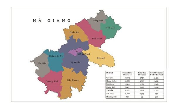 HÀ GIANG – MIỀN ĐẤT CỦA TRÀ SHAN TUYẾT DI SẢN HACOOCHA HÀ GIANG – MIỀN ĐẤT CỦA TRÀ SHAN TUYẾT DI SẢN HACOOCHA