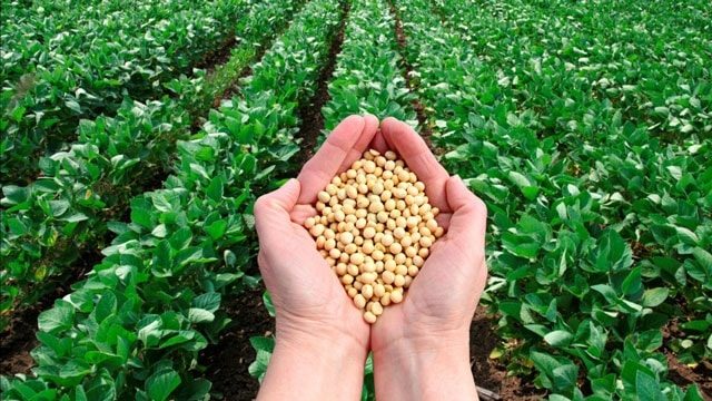Kết nối và phát triển nông nghiệp bền vững Việt Nam - Hoa Kỳ Kết nối và phát triển nông nghiệp bền vững Việt Nam - Hoa Kỳ