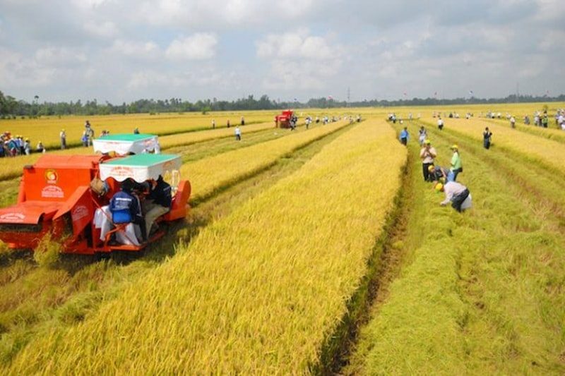 Miễn thuế sử dụng đất nông nghiệp đến hết năm 2030: Giải pháp phù hợp và cần thiết Miễn thuế sử dụng đất nông nghiệp đến hết năm 2030: Giải pháp phù hợp và cần thiết