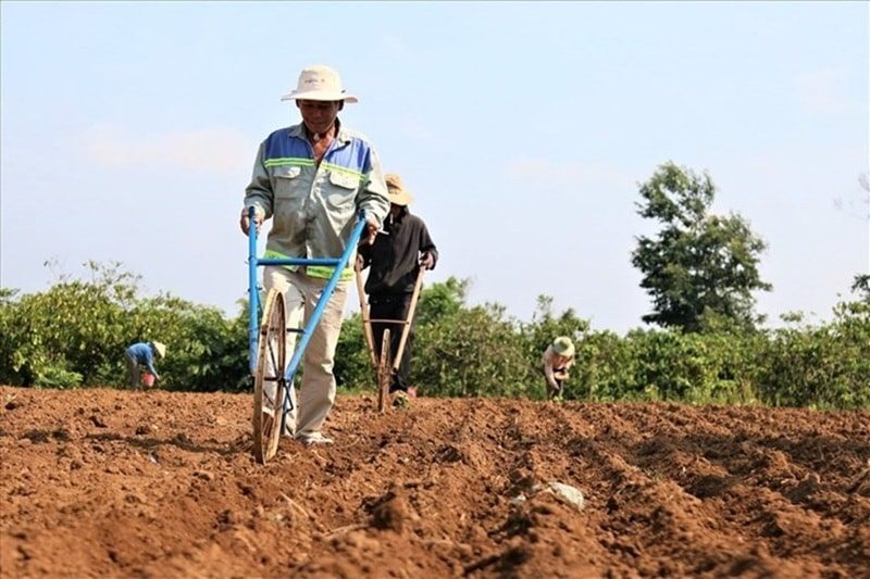 Miễn thuế sử dụng đất nông nghiệp đến hết năm 2030: Giải pháp phù hợp và cần thiết Miễn thuế sử dụng đất nông nghiệp đến hết năm 2030: Giải pháp phù hợp và cần thiết