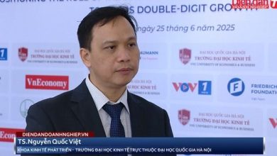 Thúc đẩy khu vực tư nhân bằng động lực từ chính sách công nghiệp