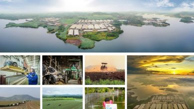 Tập đoàn TH: Phát triển bền vững được lồng ghép vào chính sách kinh doanh cốt lõi Tập đoàn TH: Phát triển bền vững được lồng ghép vào chính sách kinh doanh cốt lõi