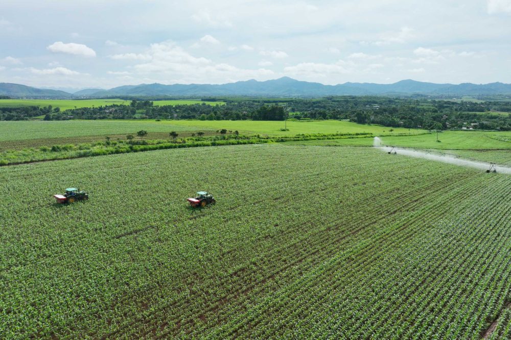 Tập đoàn TH: Phát triển bền vững được lồng ghép vào chính sách kinh doanh cốt lõi
