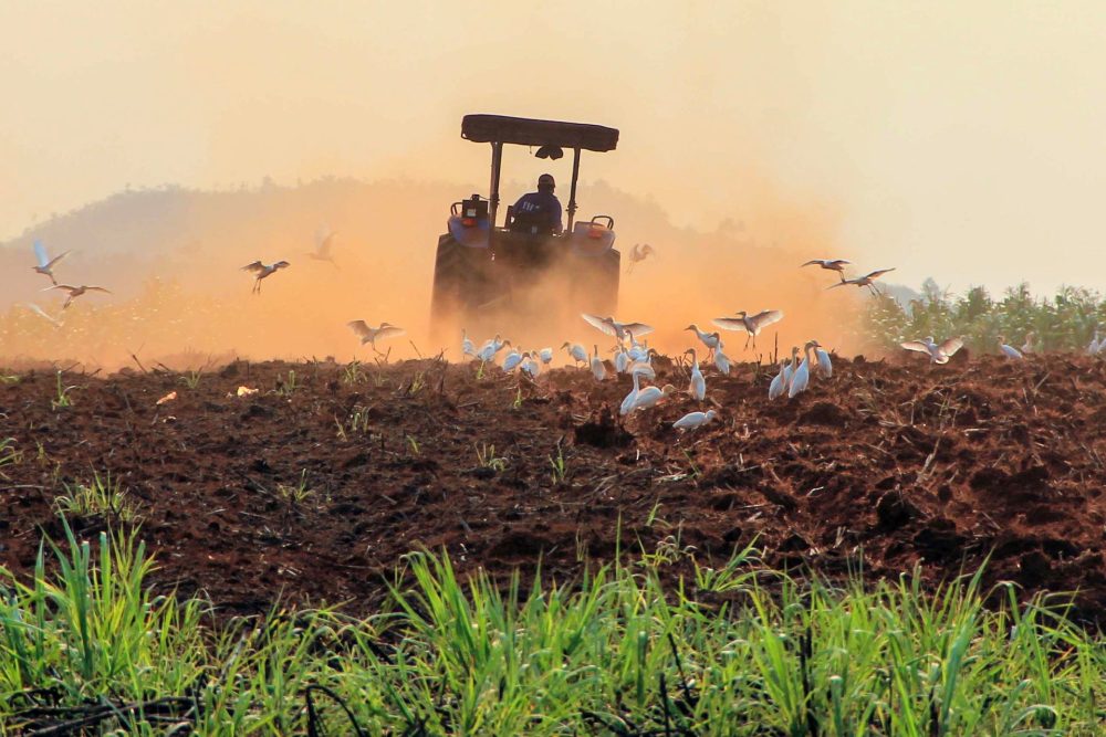 Tập đoàn TH: Phát triển bền vững được lồng ghép vào chính sách kinh doanh cốt lõi