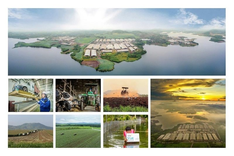 Tổng kết, trao giải Cuộc thi ảnh Việt Nam ngày nay lần 6 Tổng kết, trao giải Cuộc thi ảnh Việt Nam ngày nay lần 6
