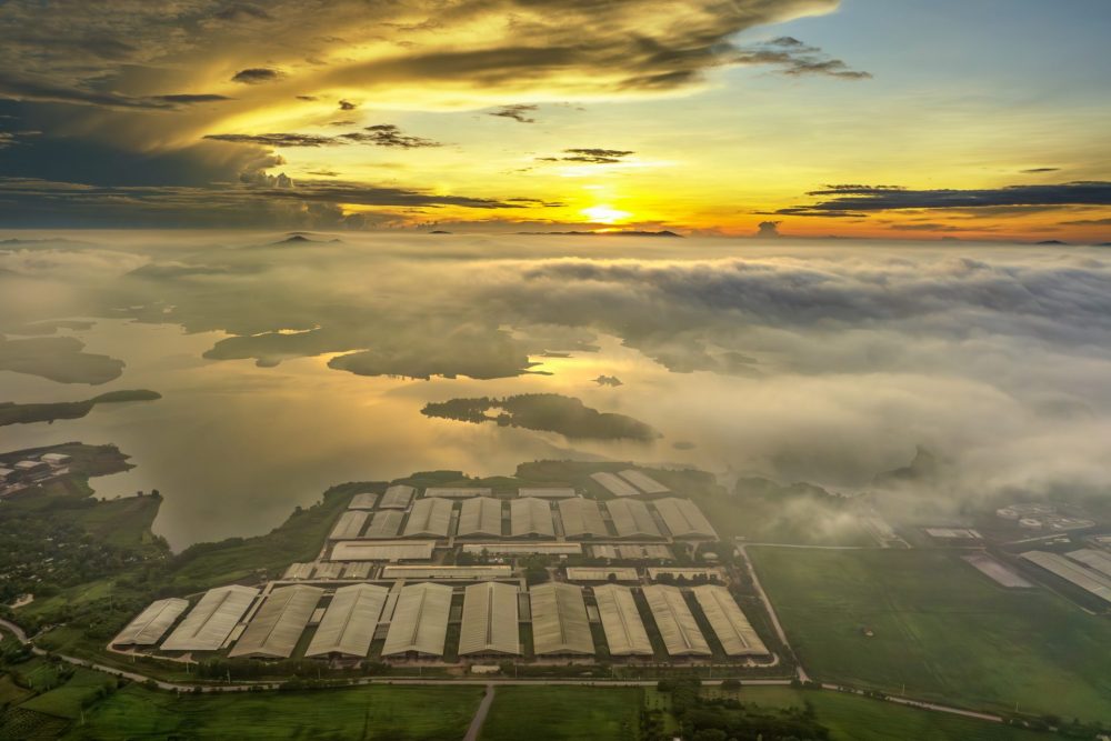 Tập đoàn TH: Phát triển bền vững được lồng ghép vào chính sách kinh doanh cốt lõi Tập đoàn TH: Phát triển bền vững được lồng ghép vào chính sách kinh doanh cốt lõi