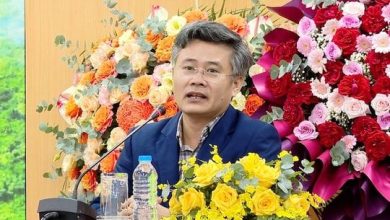 Triển vọng kinh tế Việt Nam 2025