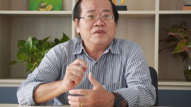 Giải pháp đưa trái dứa triệu USD vươn tầm tỷ USD