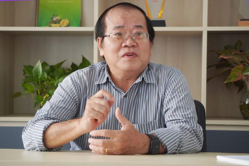 Giải pháp đưa trái dứa triệu USD vươn tầm tỷ USD Giải pháp đưa trái dứa triệu USD vươn tầm tỷ USD
