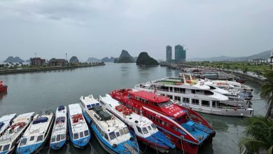 Du lịch mùa bão: Cần kịch bản không chỉ trên giấy