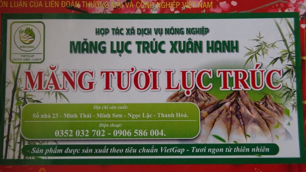 HTX DVNN Măng Lục Trúc Xuân Hanh – Hành trình biến những đồi keo thành đồi “đất vàng” HTX DVNN Măng Lục Trúc Xuân Hanh – Hành trình biến những đồi keo thành đồi “đất vàng”