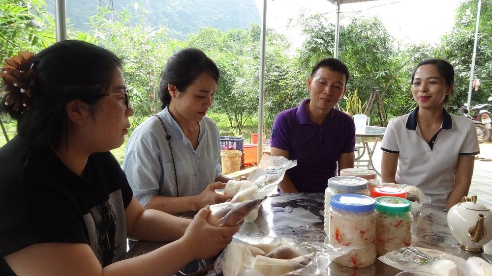 HTX DVNN Măng Lục Trúc Xuân Hanh – Hành trình biến những đồi keo thành đồi “đất vàng” HTX DVNN Măng Lục Trúc Xuân Hanh – Hành trình biến những đồi keo thành đồi “đất vàng”